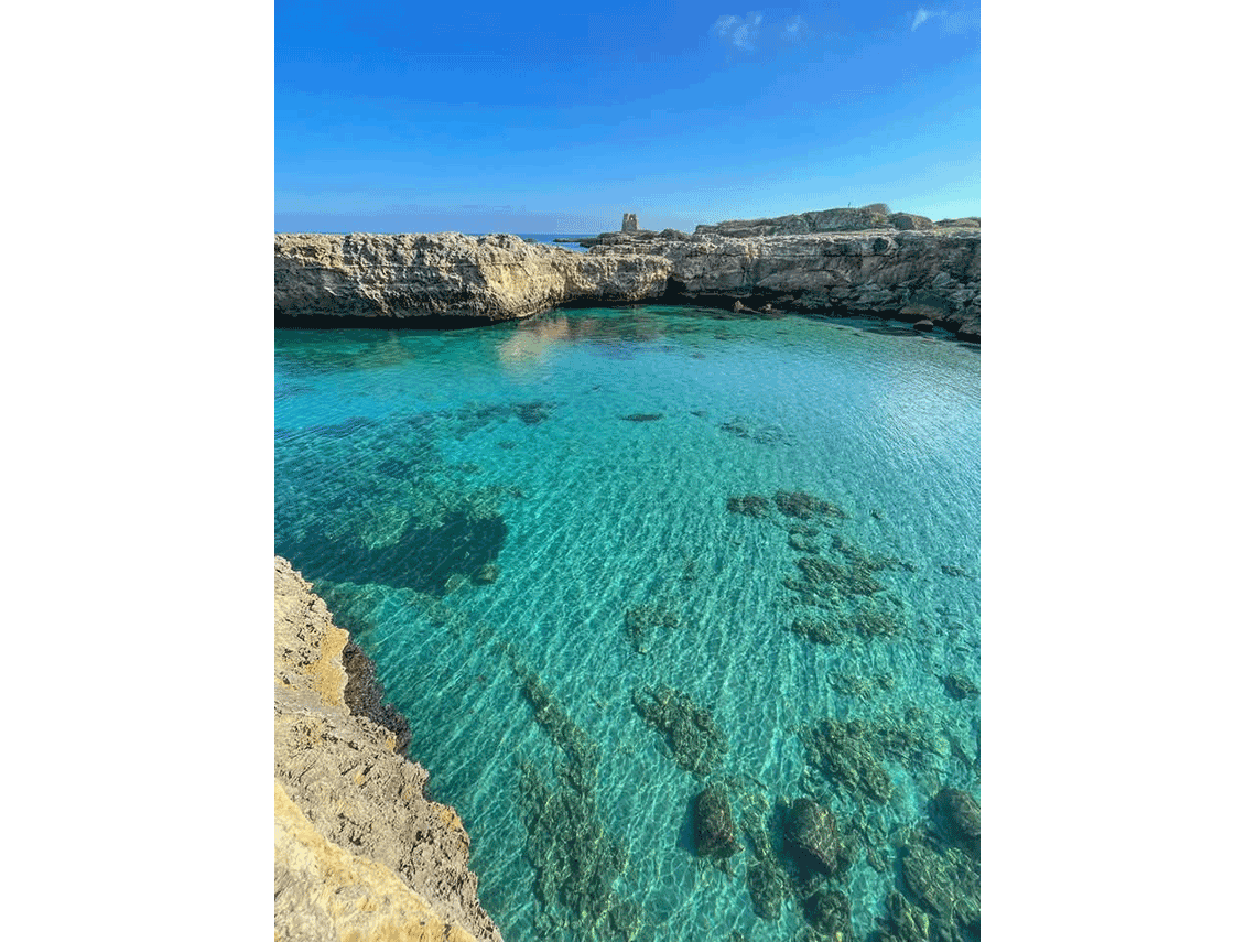 Roca